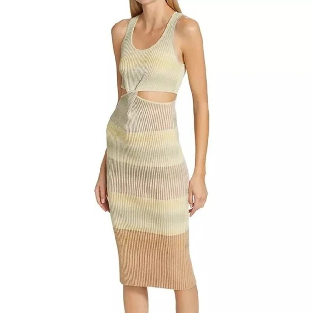 Jonathan Simkhai Colleen Striped Space Dye Tank Dress Dusk Space Dye EUC L